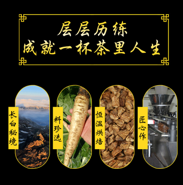 玉兰根和菊苣根的区别在哪 玉兰根和菊苣根的三大不同之处